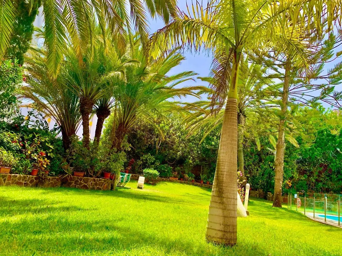Wonderful, Lovely & Quiet Studio In Playa Del Ingles - Wifi Free Spain