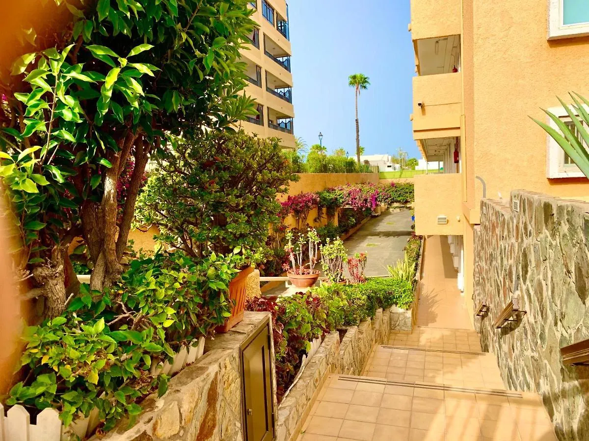 wonderful, lovely&quiet studio in playa del Inglés - WiFi free 0*,