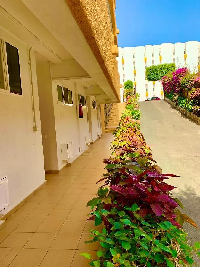Apartamento wonderful, lovely&quiet studio in playa del Inglés - WiFi free España